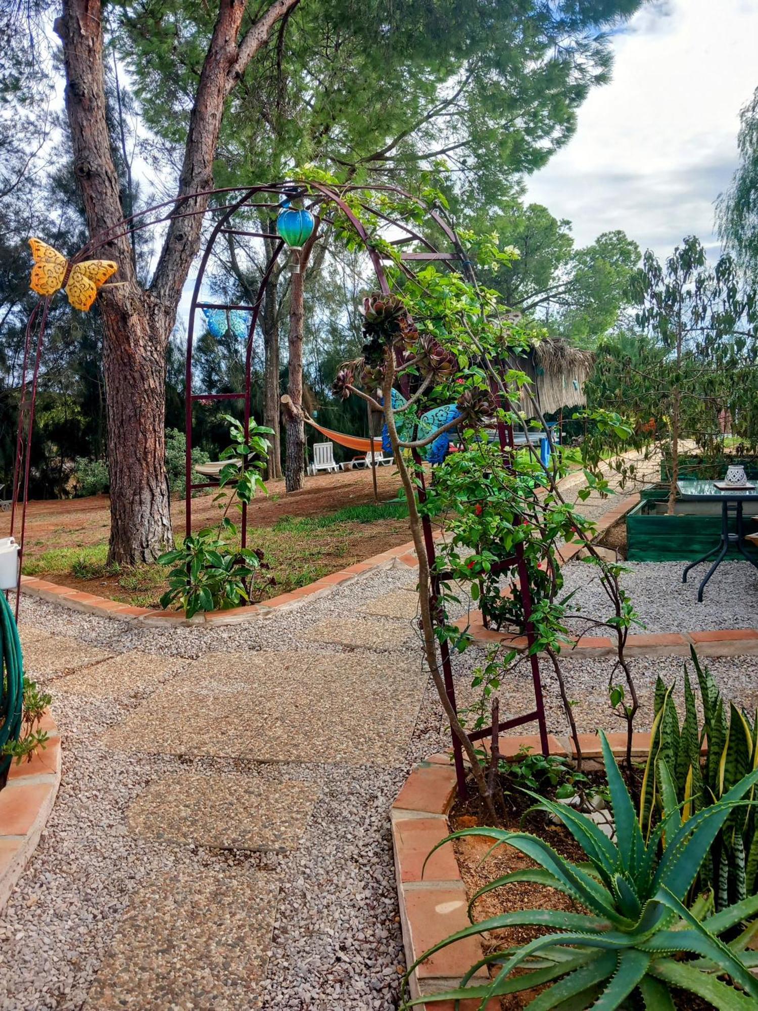 Apartamento Morphee Valdareina, Piscine Chauffee, Benagil-Carvoeiro Carvoeiro  Exterior foto
